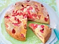 Ein saftiger Erdbeer Rhabarber Kuchen, bestäubt mit Puderzucker, wartet auf seinen Anschnitt. Ein Stück ist bereits auf einem grünen Tupfer platziert.