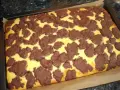 Ein frisch gebackener russischer Zupfkuchen im Blech, mit einem gelben Teig und dunklen Schokoladenstückchen.