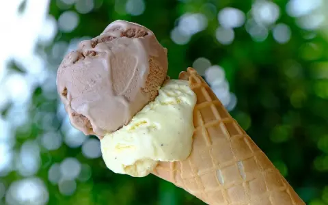 Zwei Kugeln Eis, Schoko und Vanille, in einer Waffel. Sind Eiswaffeln vegan? Diese hier sehen köstlich aus!