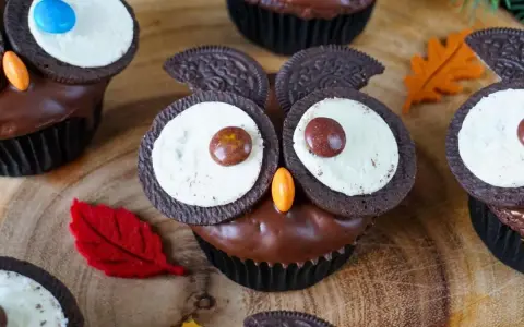 Niedliche Eulen-Muffins mit Schokoglasur, Oreo-Augen und bunten Smarties – perfekt für einen Kindergeburtstag!