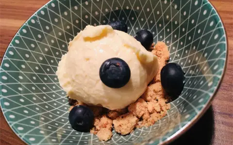 Cremiges Eis mit Blaubeeren und Streuseln in einer grünen Schale. Sojalecithin Verwendung macht das Eis besonders zart.