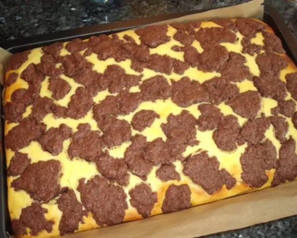 Ein frisch gebackener russischer Zupfkuchen im Blech, mit einem gelben Teig und dunklen Schokoladenstückchen.