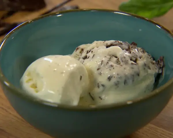 Zwei Kugeln Eis, eine schlicht und eine mit Schokostückchen, in einer blauen Schüssel. Das Eis könnte mit gezuckerter Kondensmilch zubereitet sein.